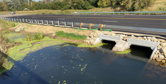 photo of two new box culverts on the main stream plus a smaller, higher "floodplain culvert" off the main channel