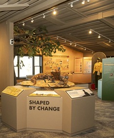 Looking inside a new interpretive area in a state park building. 