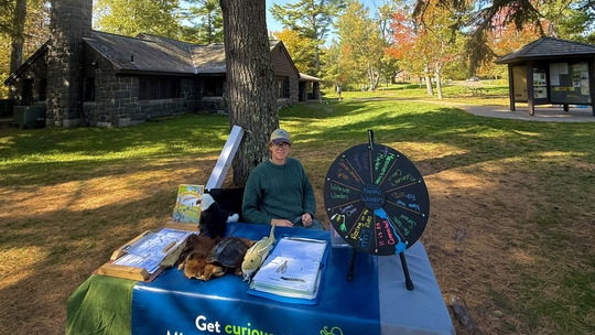 A naturalist intern sits in a chair behind a table outside in a park. On the table are activities like animal furs and a spinning trivia wheel. 