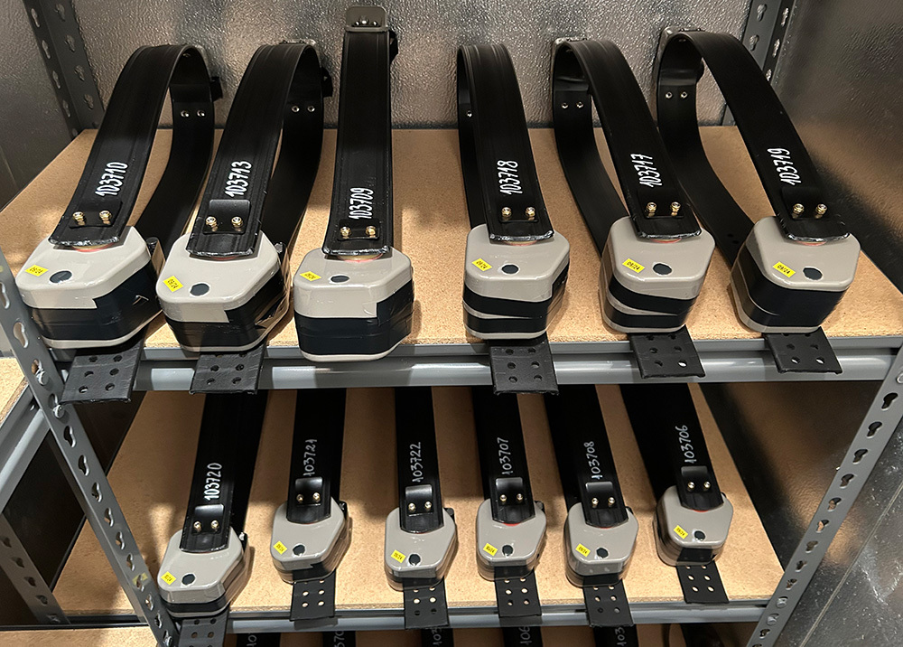 collars that will be fitted on Minnesota elk