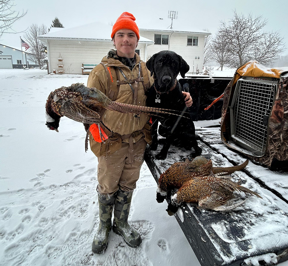 pheasant hunter with three pheasants, at the tail gate, and hunting dog on the bed of the pickup, in snow