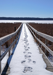 A fishing pier is covered in snow and footprints. 