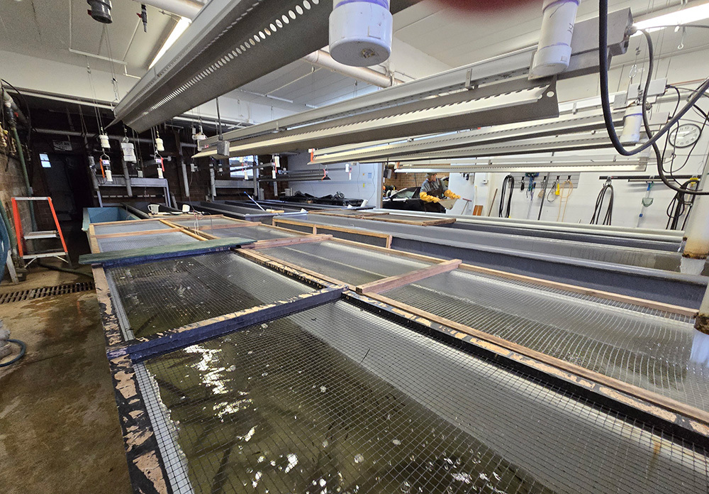 Waterville Hatchery tanks