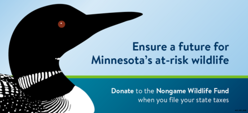 A loon graphic on a banner about donating to the nongame wildlife fund during tax time. 