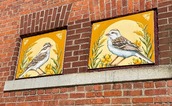 Clay-colored Sparrow and Field Sparrow mini mural by Audrey Carver. 