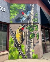 A red-headed Woodpecker and Yellow-bellied Sapsucker mural by Adam Turman