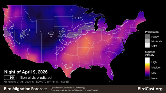 A heat map of the U.S.A. predicts bird migration the night of April 9.