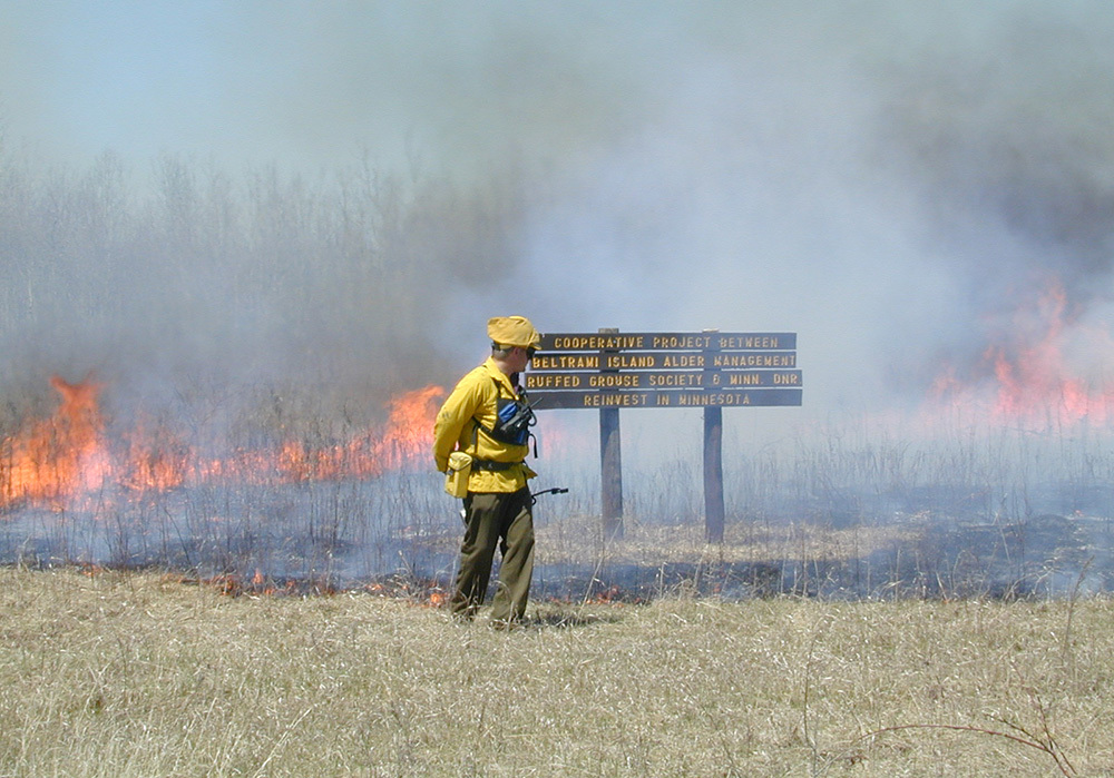 prescribed fire, staff, sign with Cooperative project, Beltrami Island Alder MGMT, Ruffed Grouse Society, DNR Reinvest in Minnesota