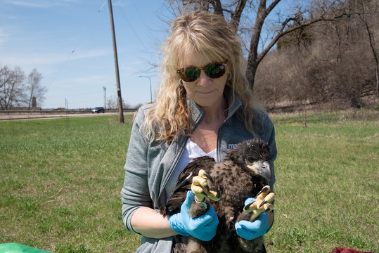 Lori Naumann with eaglet 