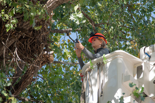 Lori Naumann assists with EagleCam installation in 2024