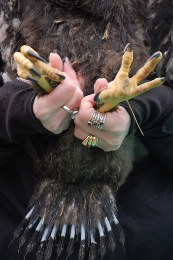 Lori Naumann holding an eaglet in 2015