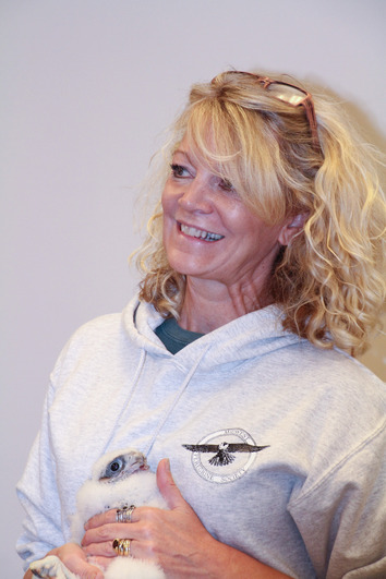 Lori Naumann at peregrine falcon chick banding in 2016