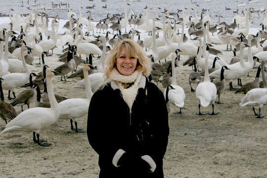 Lori with trumpeter swans and Canada geese at Monticello 