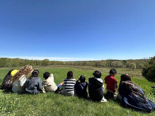 children sitting in the grass
