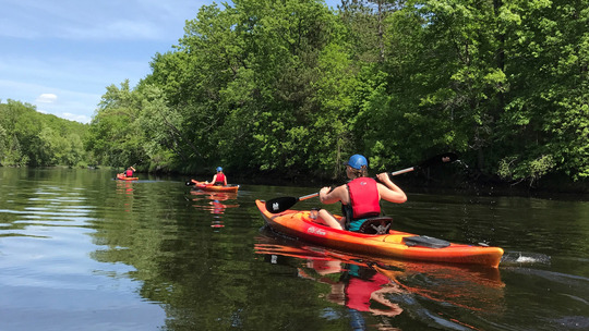 A group of kayakers paddle down a calm river. 