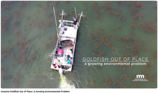 Screenshot of Goldfish Out of Place video showing a research boat on a turbid lake