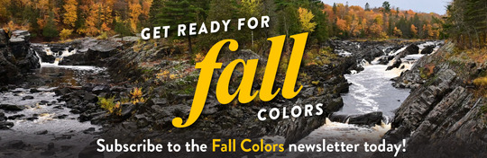 Get ready for fall colors. Subscribe to the Fall Colors newsletter today! 