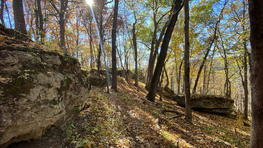 A hiking trail winds through a fall forest with large limestone outcrops lining the path.