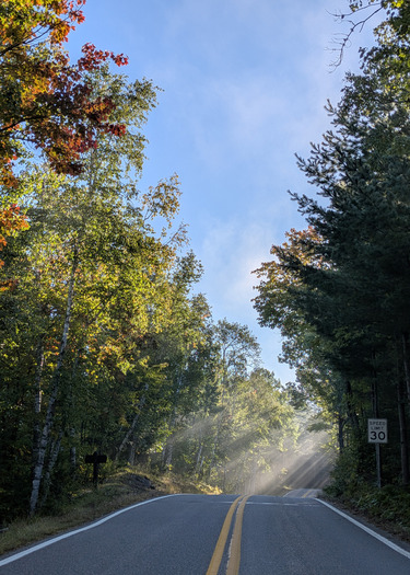 A paved road is misty and surrounded by trees just turning color for fall. 