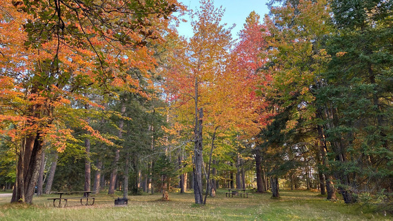 A picnic area with fire ring is surrounded by beautiful fall foliage. 