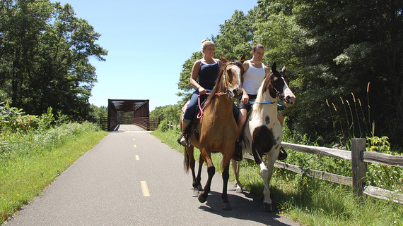 Two horseback riders travel side by side down the paved path. 