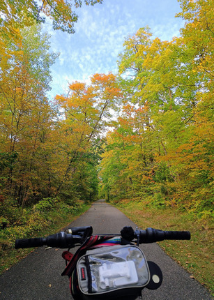Looking out above bike handles to a paved path and bright fall trees. 