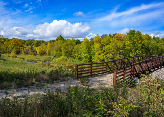 A brown iron bridge spans across an unseen river with bright green and orange trees in the distance. 
