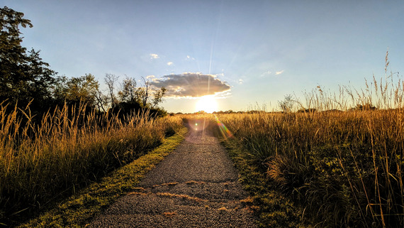 The sun rises along the horizon surrounded by tallgrass prairie. 