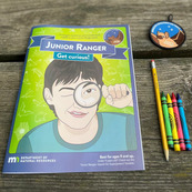 A Junior Ranger booklet and patch that features a bat.
