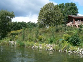 Vegetated shoreline