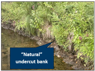 Natural undercut bank