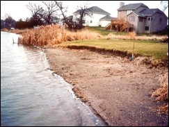 Eroded shoreline by lawn next to natural vegetation area without erosion