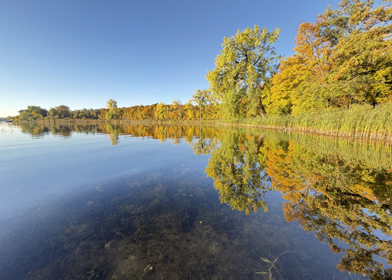 A calm lake stretches into the distance with bright orange and yellow trees along the shoreline. 