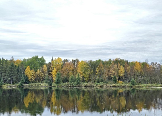 The shoreline of a lake is lined with bright orange and yellow trees. 