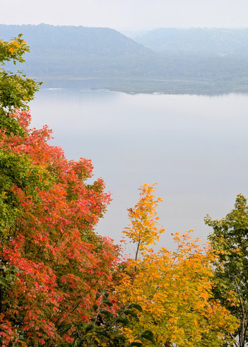 From a high view point, a bluff is shrouded in fog with bright fall foliage on the hillsides. 
