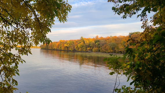 Looking out to a calm lake with bright fall foliage along the shoreline. 