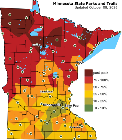 Map of Minnesota shows the whole northern half of the state is at peak colors, while the southern half is closely approaching at 50-75%
