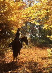 A silhouetted person on horseback looks back at the camera while riding along a golden forest trail. 