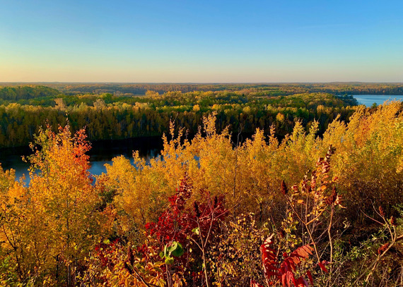 A gorgeous overlook with views of yellow trees and a calm lake at sunrise. 