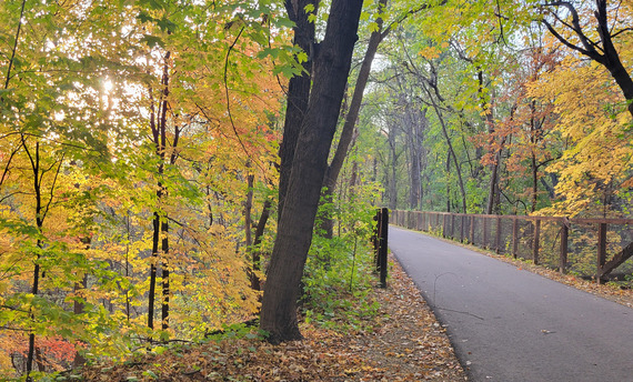 Paved bike trail through stands of trees on both sides, some still green and some with yellow leaves. 