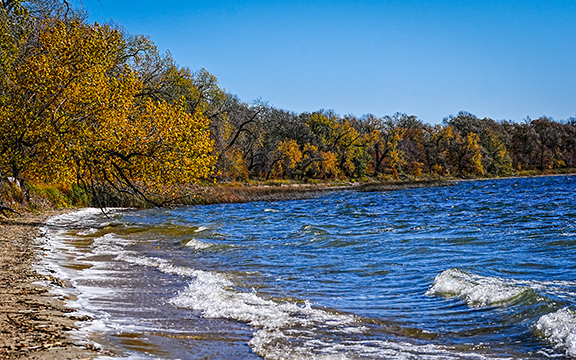 Waves long a lakeshore with trees in the late stages of fall colors along the lake
