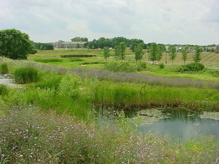 Photo of stormwater pond