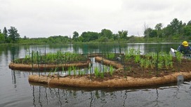 Photo of stormwater ponds