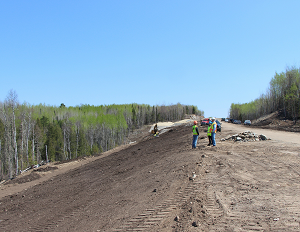 Photo of amended earth roadbed