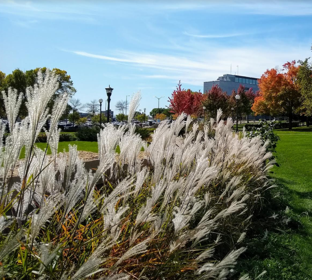 Autumn