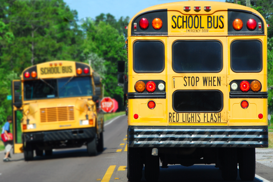 school bus photo - adobe stock image