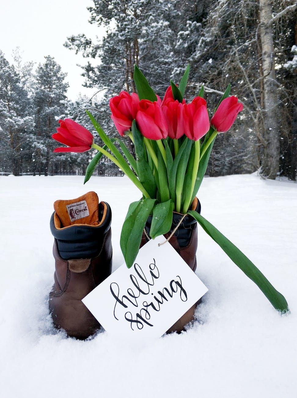 Hello Spring!