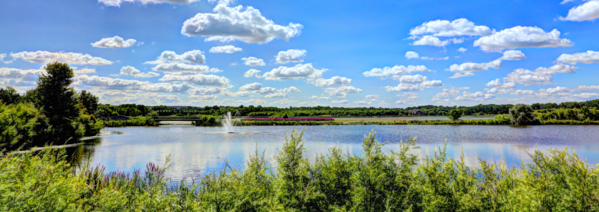 Pond below blue sky with puffy clouds
