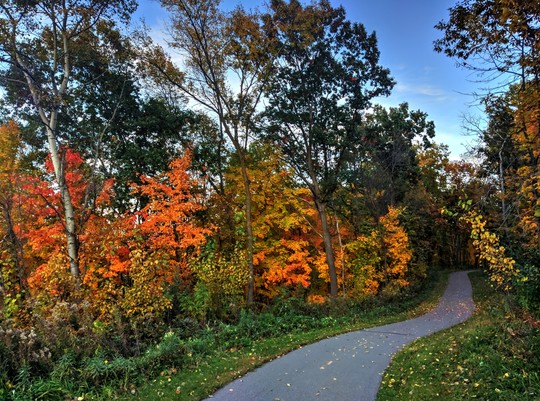 Rice Marsh Lake trail during fall season