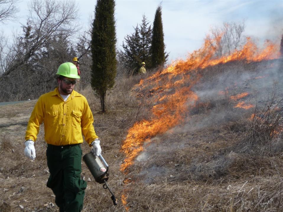 Prescribed prairie burn